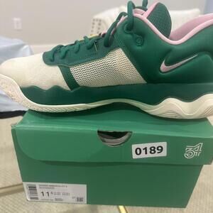 Nike Men's Green and Multi Trainer